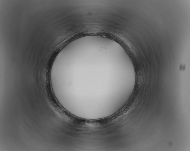 X0000094450455200712061204