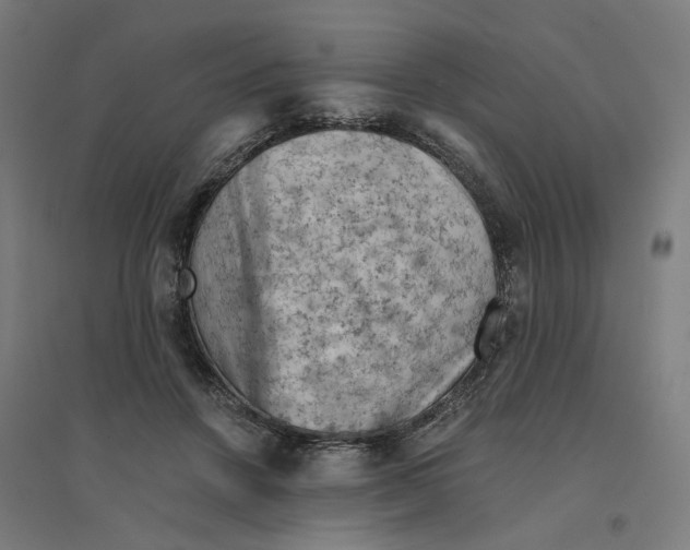 X0000094450456200712061204