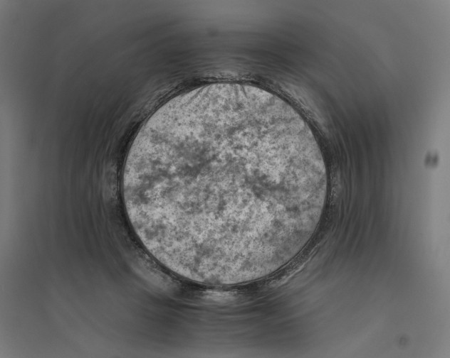 X0000094450457200712061204