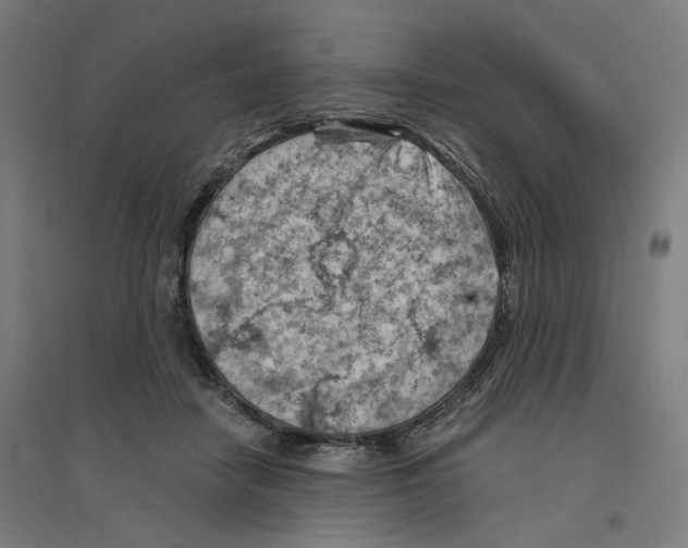 X0000094450458200712061204