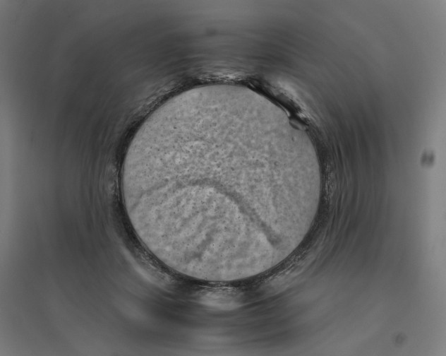 X0000094450459200712061204