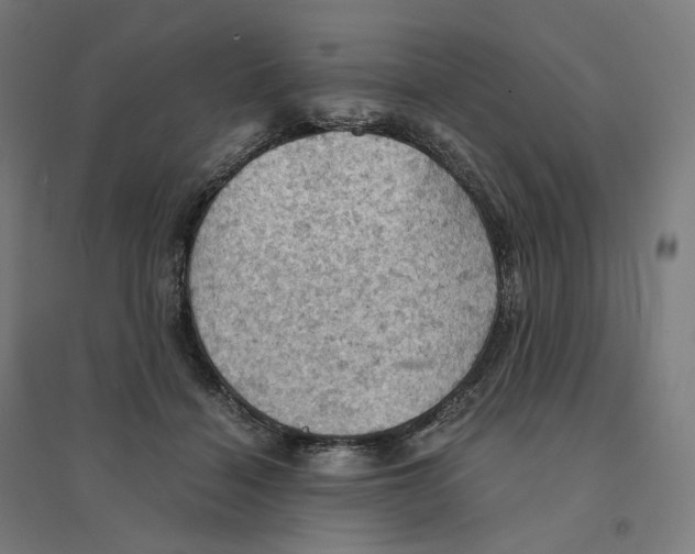 X0000094450460200712061204