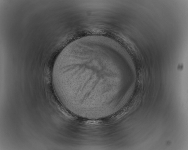 X0000094450465200712061204