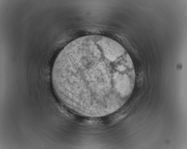 X0000094450466200712061204