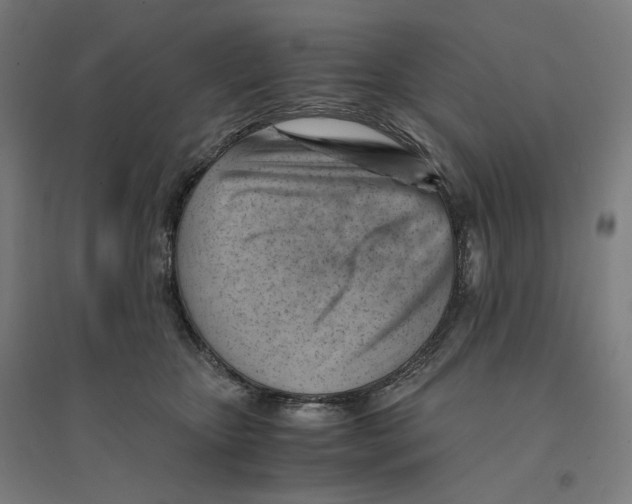 X0000094450467200712061204