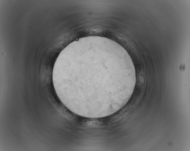 X0000094450468200712061204