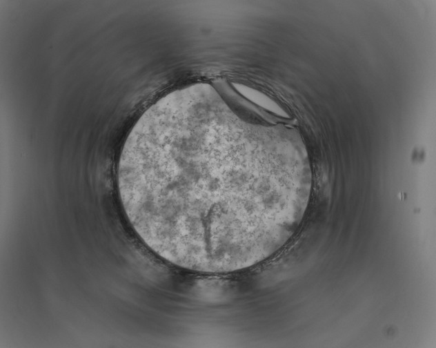 X0000094450470200712061204