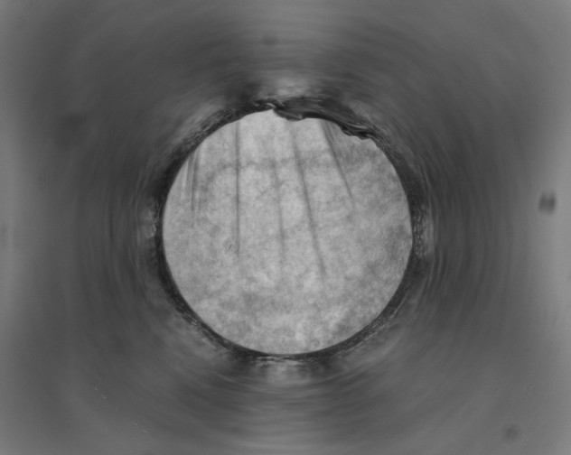 X0000094450472200712061204