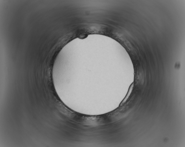 X0000094450473200712061204