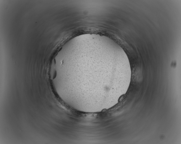 X0000094450474200712061204