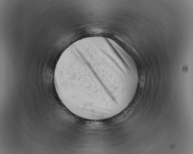 X0000094450476200712061204