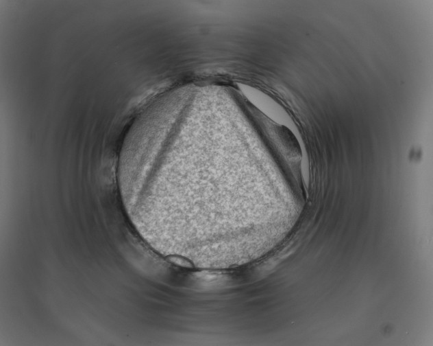 X0000094450477200712061204