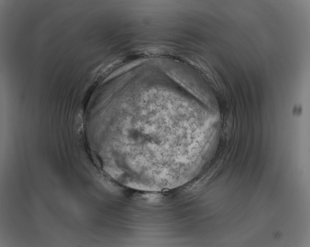 X0000094450478200712061204