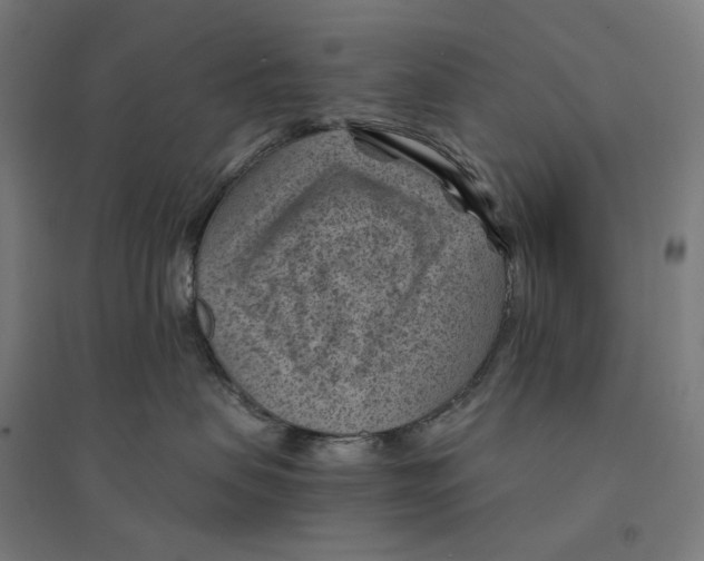 X0000094450479200712061204