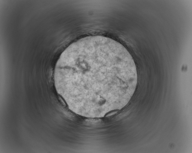 X0000094450480200712061204