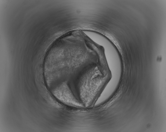 X0000094450481200712061203