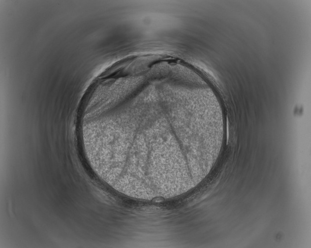 X0000094450483200712061203