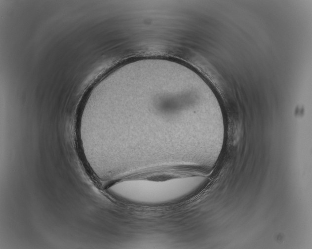 X0000094450485200712061203