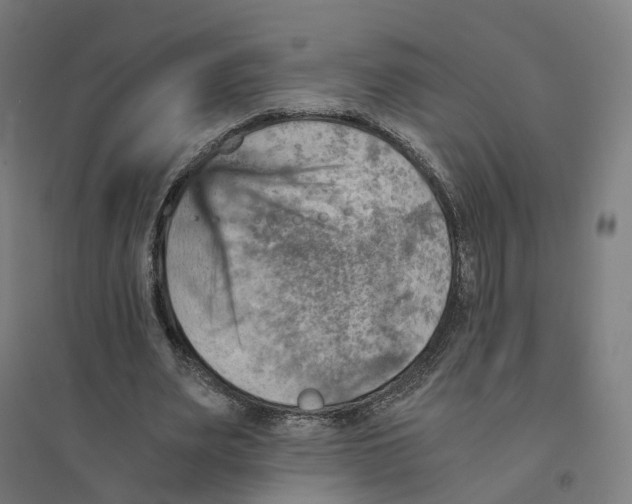 X0000094450487200712061203