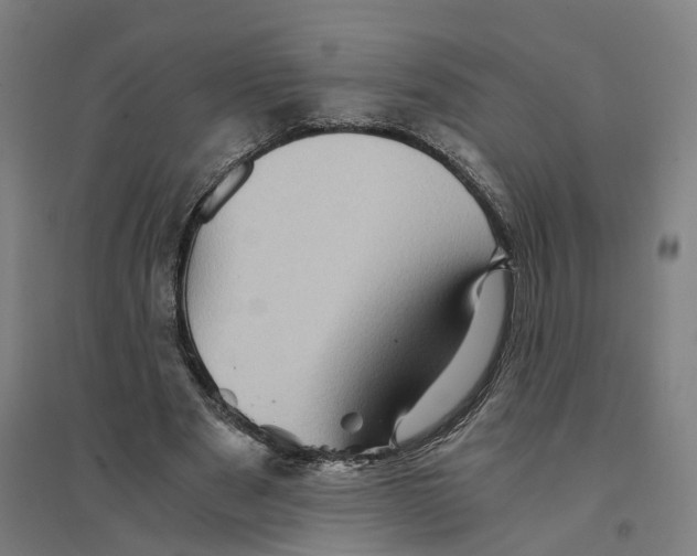 X0000094450489200712061203