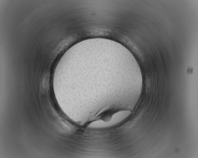 X0000094450490200712061203