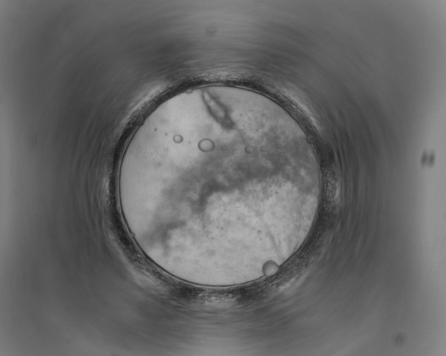 X0000094450491200712061203