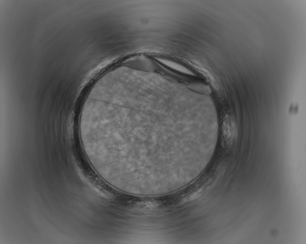 X0000094450492200712061203