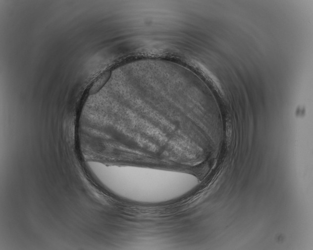 X0000094450493200712061203