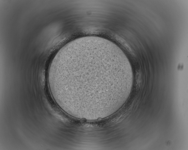 X0000094450494200712061203