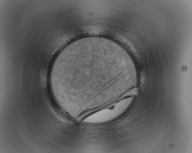 X0000094450496200712061203