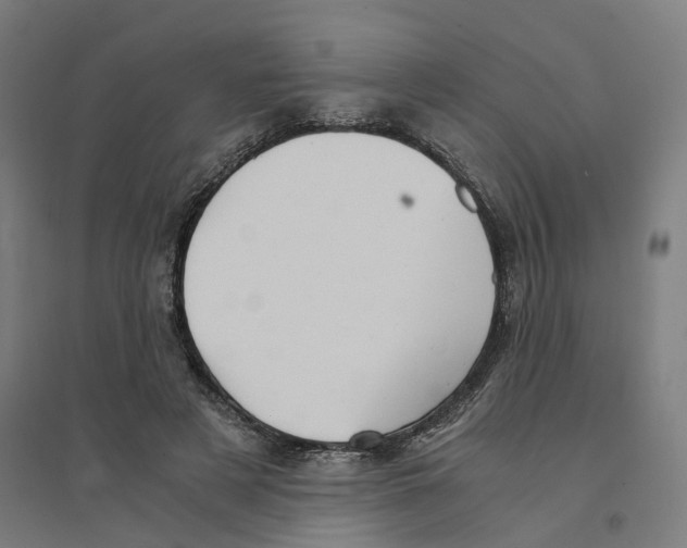 X0000094450497200712061203