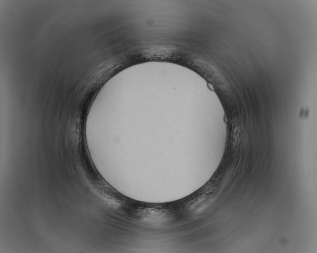 X0000094450498200712061203