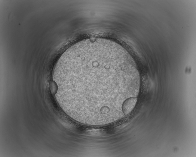 X0000094450499200712061203