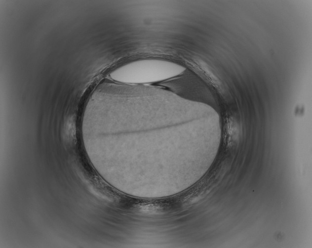 X0000094450500200712061203