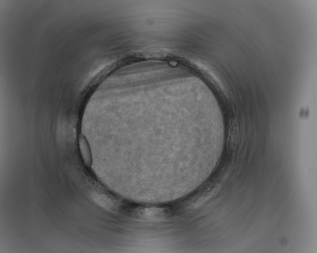 X0000094450501200712061203