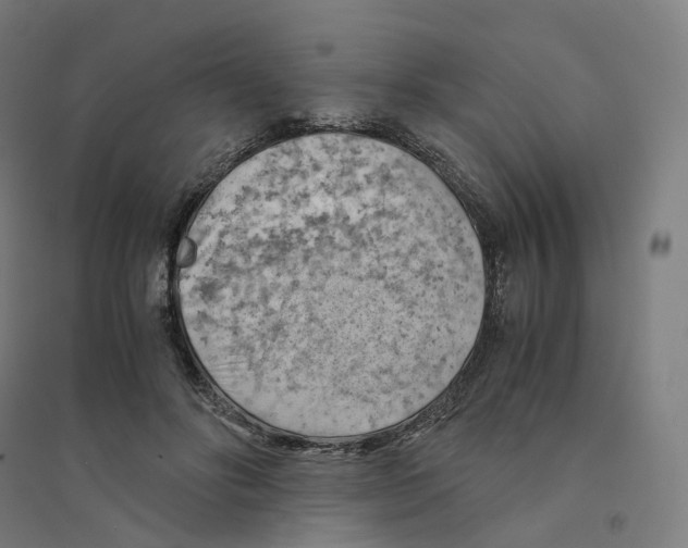 X0000094450502200712061203