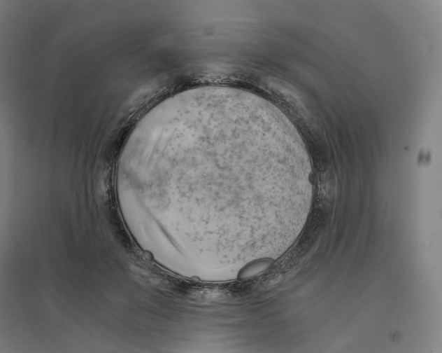 X0000094450503200712061203