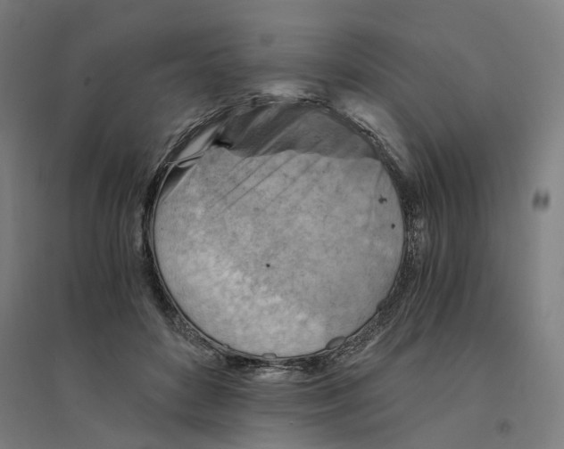 X0000094450504200712061203