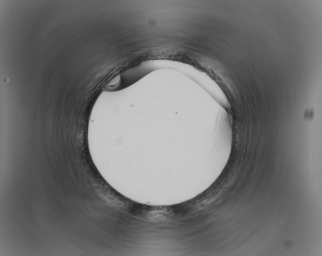 X0000094450505200712061203