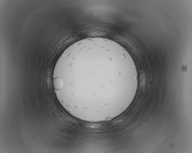 X0000094450506200712061203