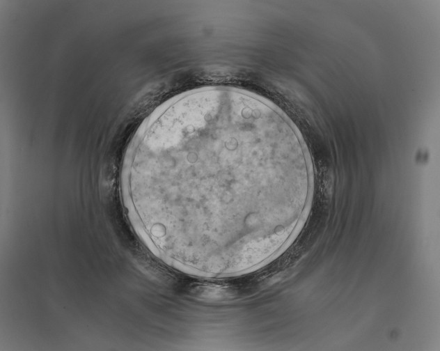 X0000094450507200712061203