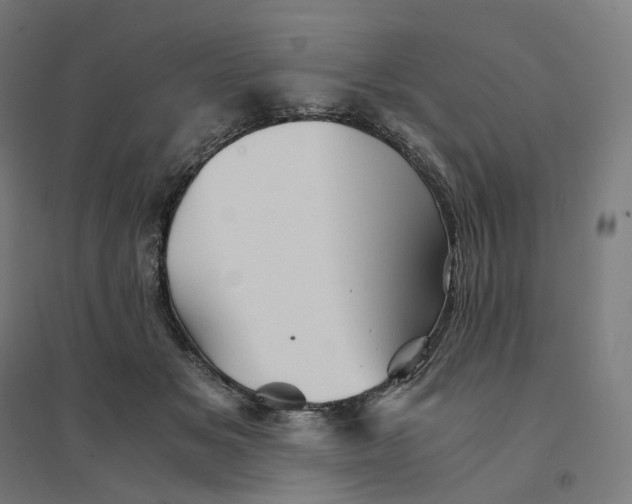 X0000094450509200712061203