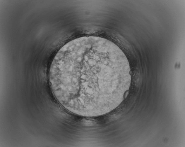 X0000094450510200712061203