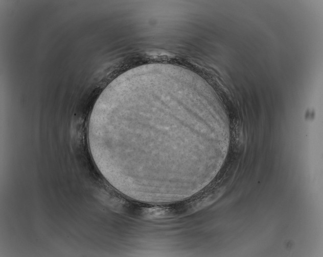 X0000094450511200712061203