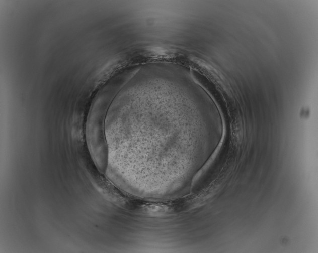 X0000094450512200712061203