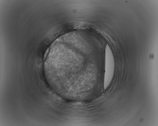 X0000094450513200712061203