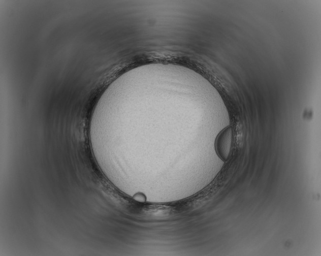 X0000094450514200712061203