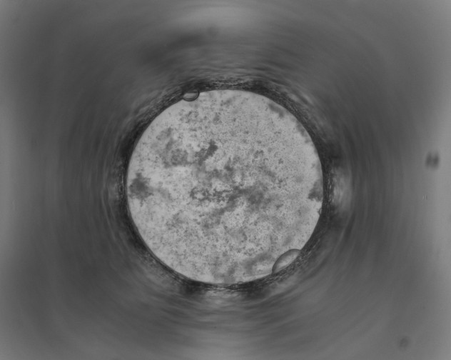 X0000094450515200712061203