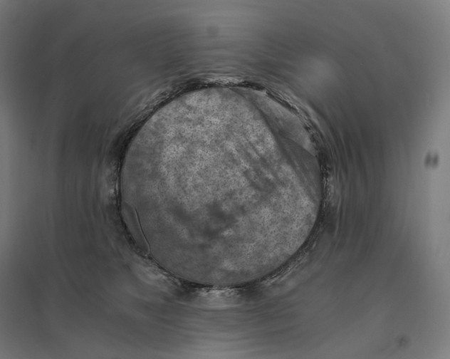 X0000094450517200712061203