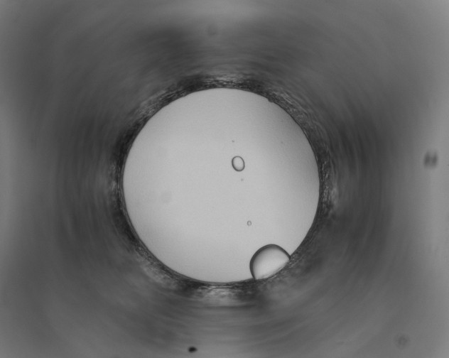 X0000094450518200712061203